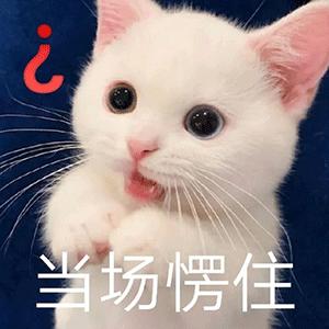 设计师在非洲做了个花篮，用来向天空借水