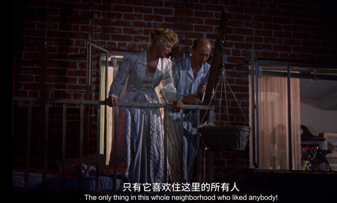 希区柯克经典电影后窗,希区柯克后窗艺术