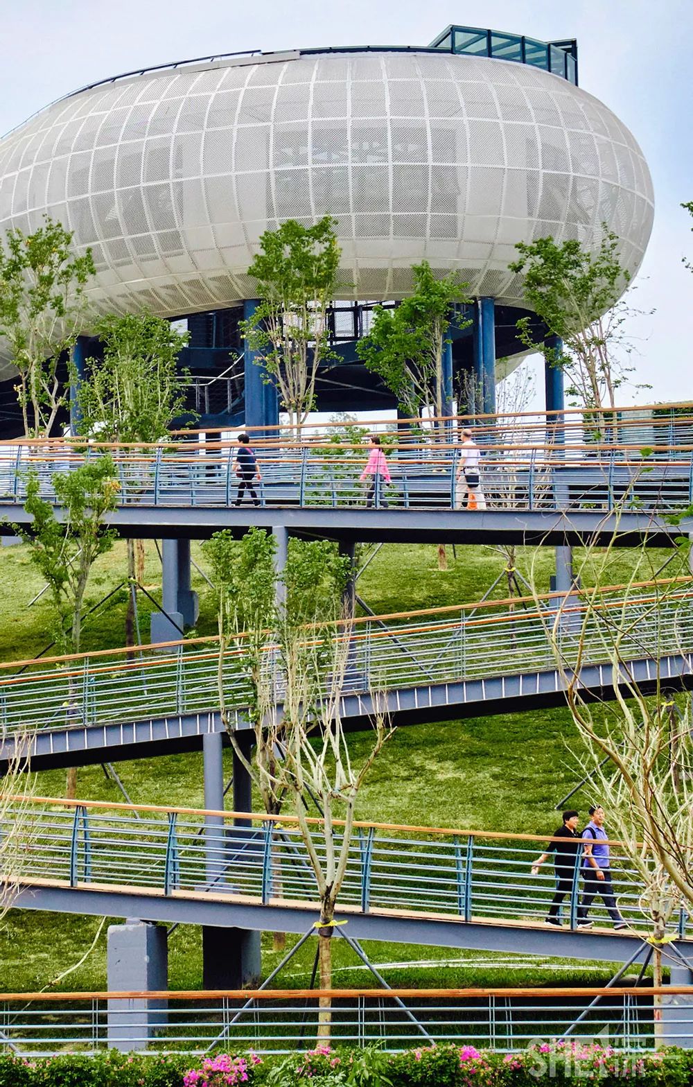 深圳龙华公园推荐,深圳龙华免费公园