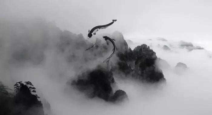 刘小枫什么水平,刘小枫小前锋