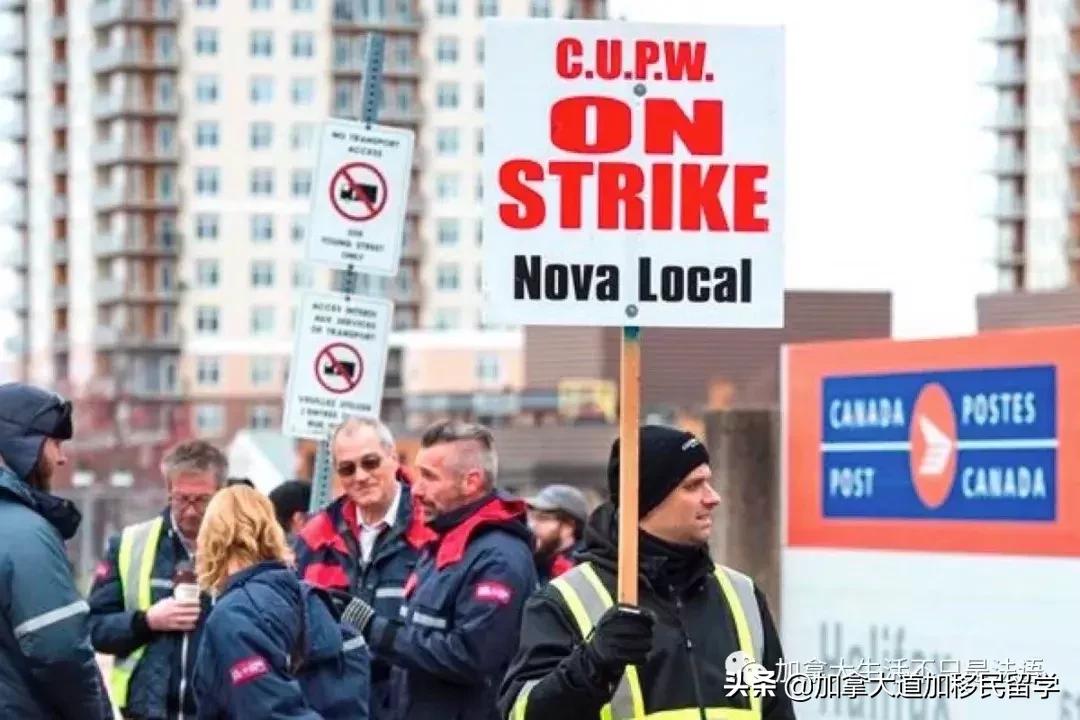 吐槽蒙特利尔-还原一个真实的“小巴黎”