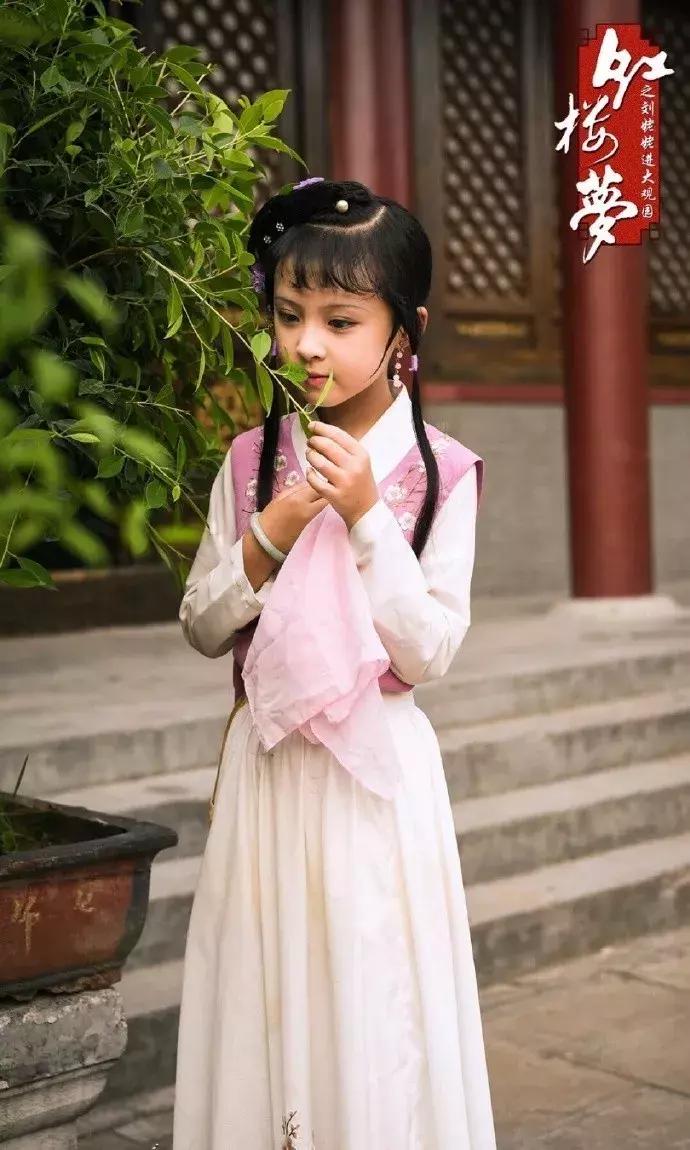 读红楼梦好多生僻字怎么办,红楼梦里你不认识的生僻字