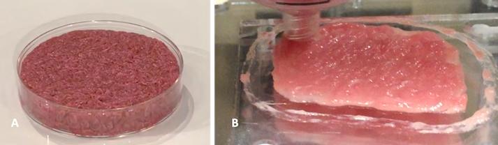 3d打印3种核心技术,3d打印器官最前沿技术