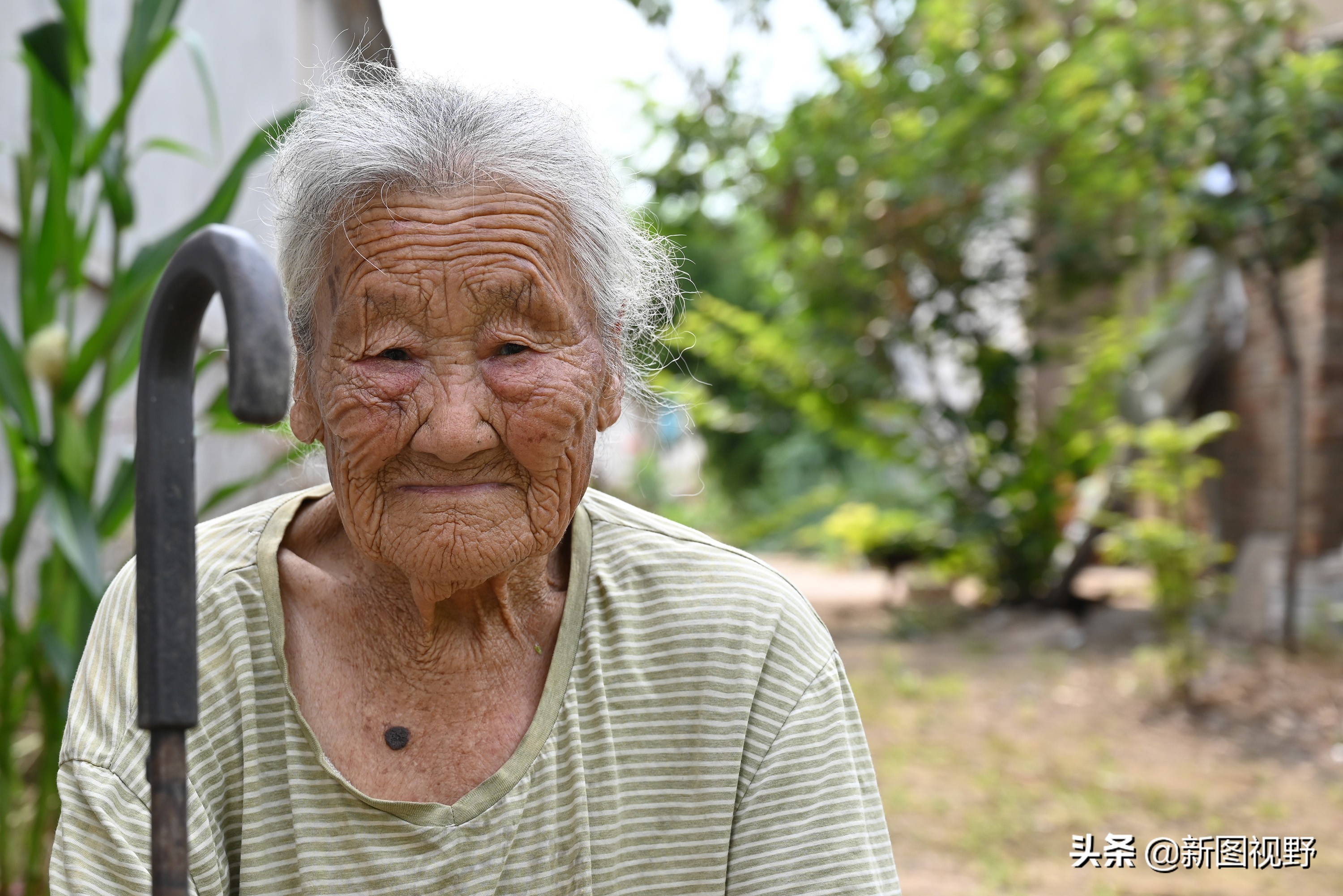 77岁儿子谈长寿经验，100岁母亲插话说出生活秘诀，极具人生智慧