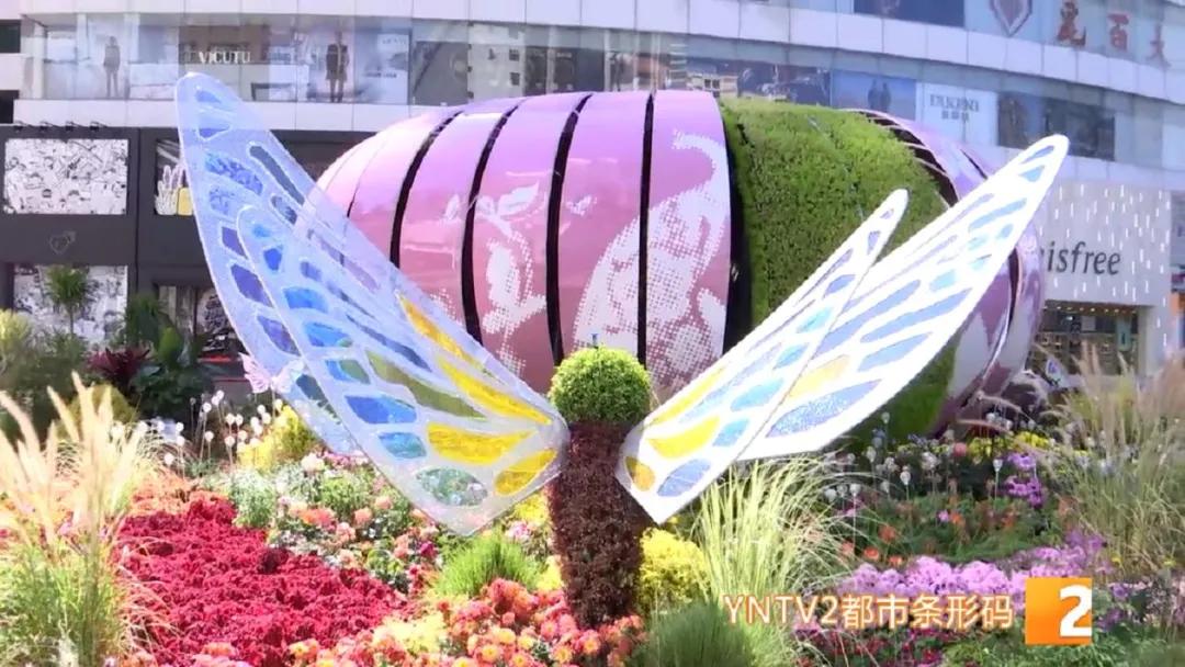 昆明100个立体花坛位置,昆明cop15立体花坛