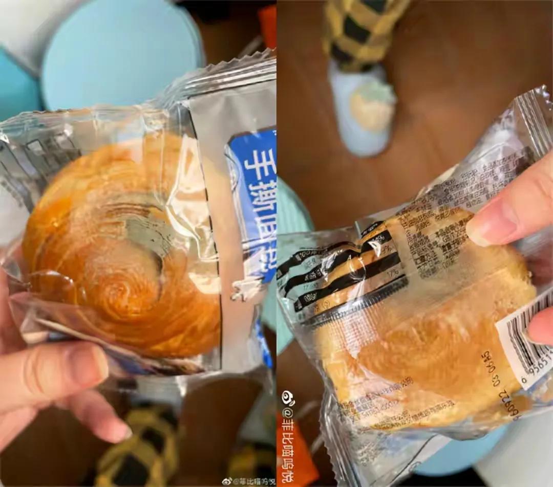 加拿大鹅事件是怎么回事,加拿大鹅事件来龙去脉