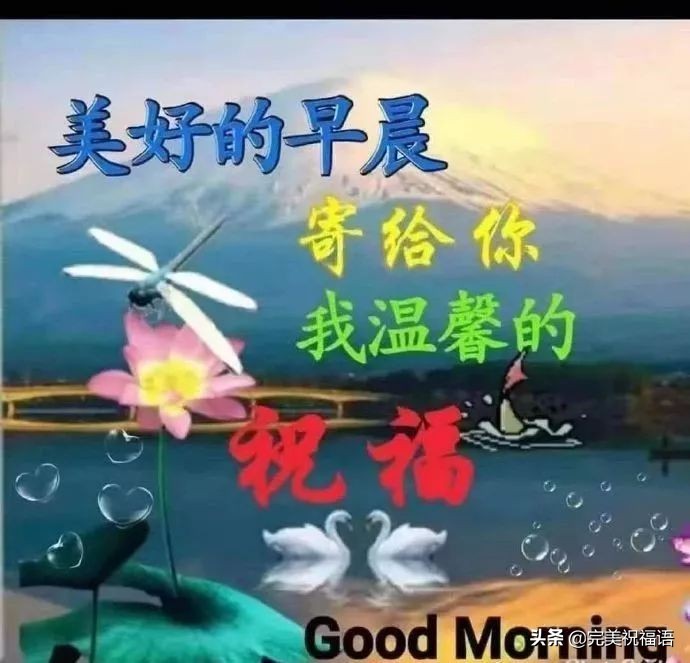 最新版早安祝福图片及问候语,早安问候祝福语漂亮图片