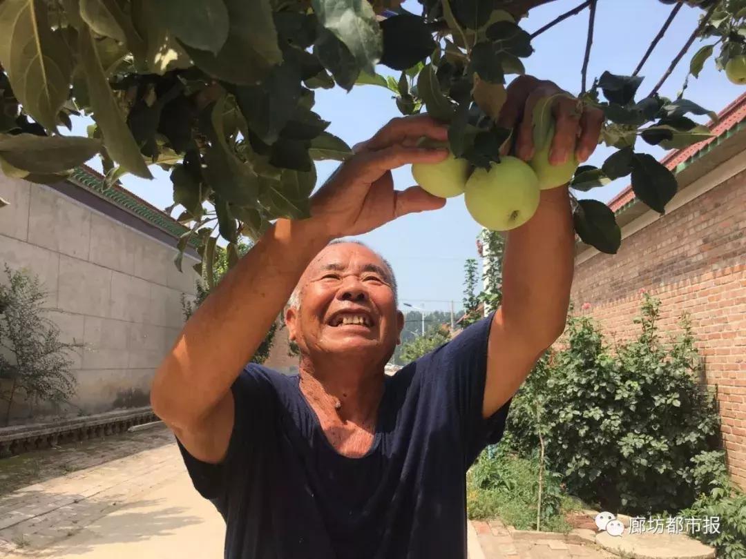 固安农民一人挑起一个家，照顾瘫痪老娘和老伴，供5个儿女上大学……