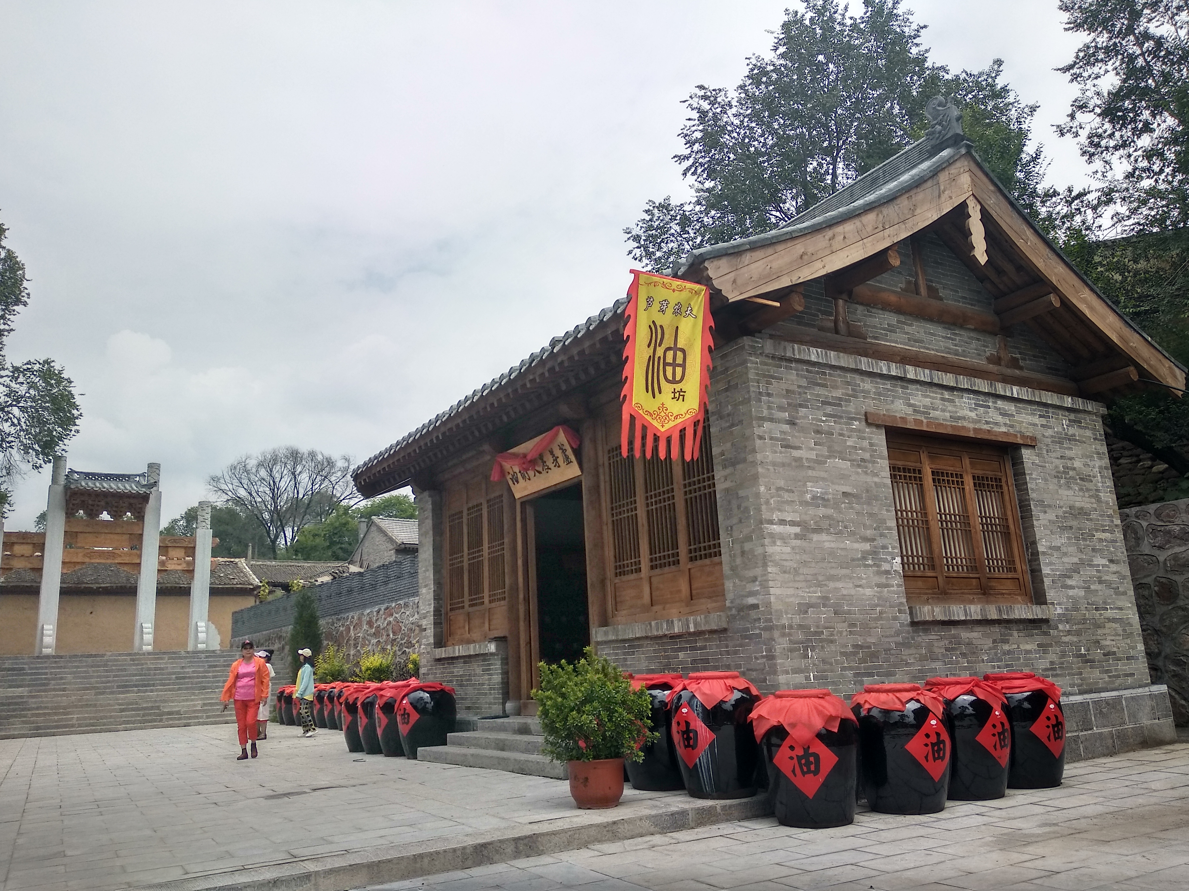 寻古探今,寻古觅今的视频