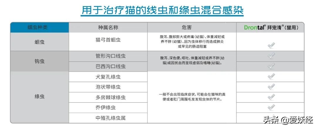 拜宠清猫驱虫药真假,拜宠清猫咪驱虫药怎么样
