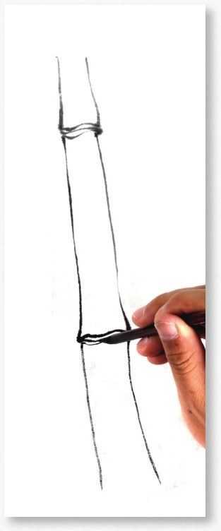 国画基础教程竹子的画法,竹子国画画法教程