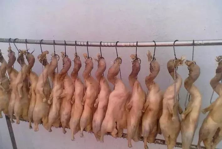 90后开烤鸭店夫妻月入四万,创业农村烤鸭店