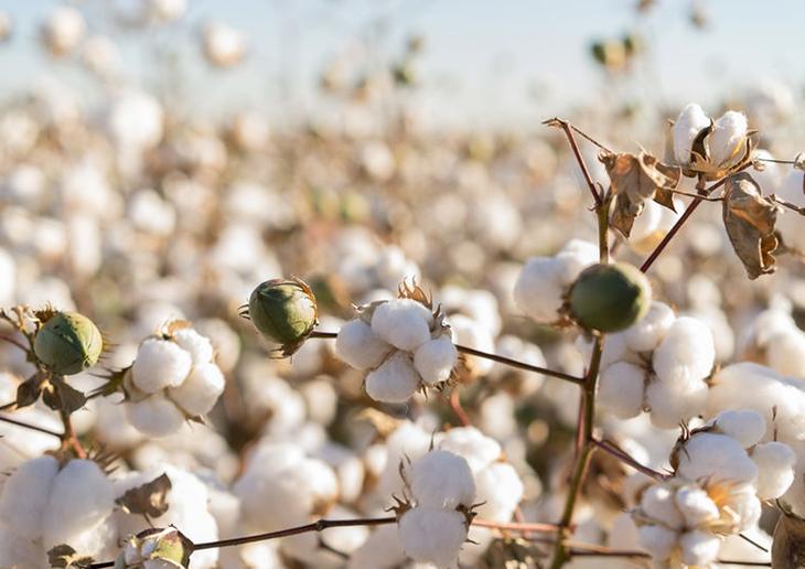 百搭宝藏t恤,夏季情侣t恤宝藏店铺