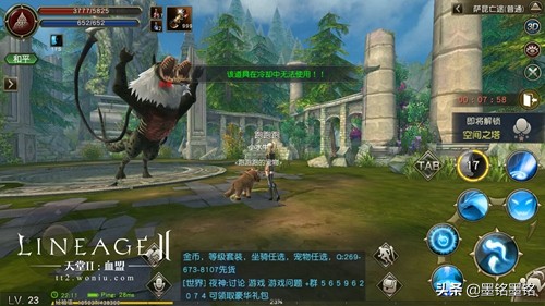 天堂2血盟荣耀版,天堂2血盟有什么好玩的游戏