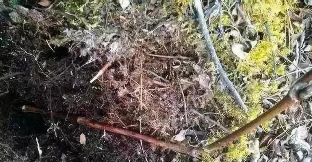 等疫情结束了我想回安徽,等疫情结束了我想放个长假