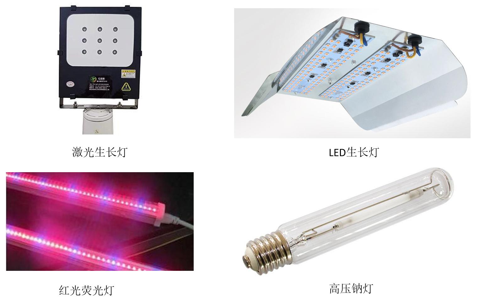 果子不甜什么原因,果子不酸也不甜有哪些原因