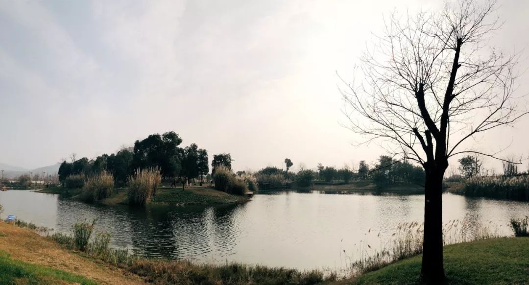 成都最新公园消息,成都陆续开放的公园