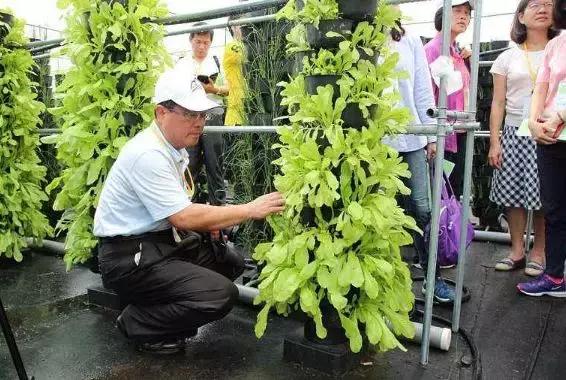 国际乡村旅游经验,台湾乡村旅游有什么值得借鉴的