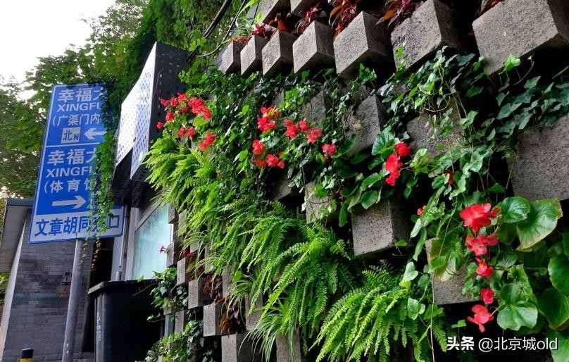 京城残手毽王小斗儿，身怀绝技不称王，其实这就是北京精神