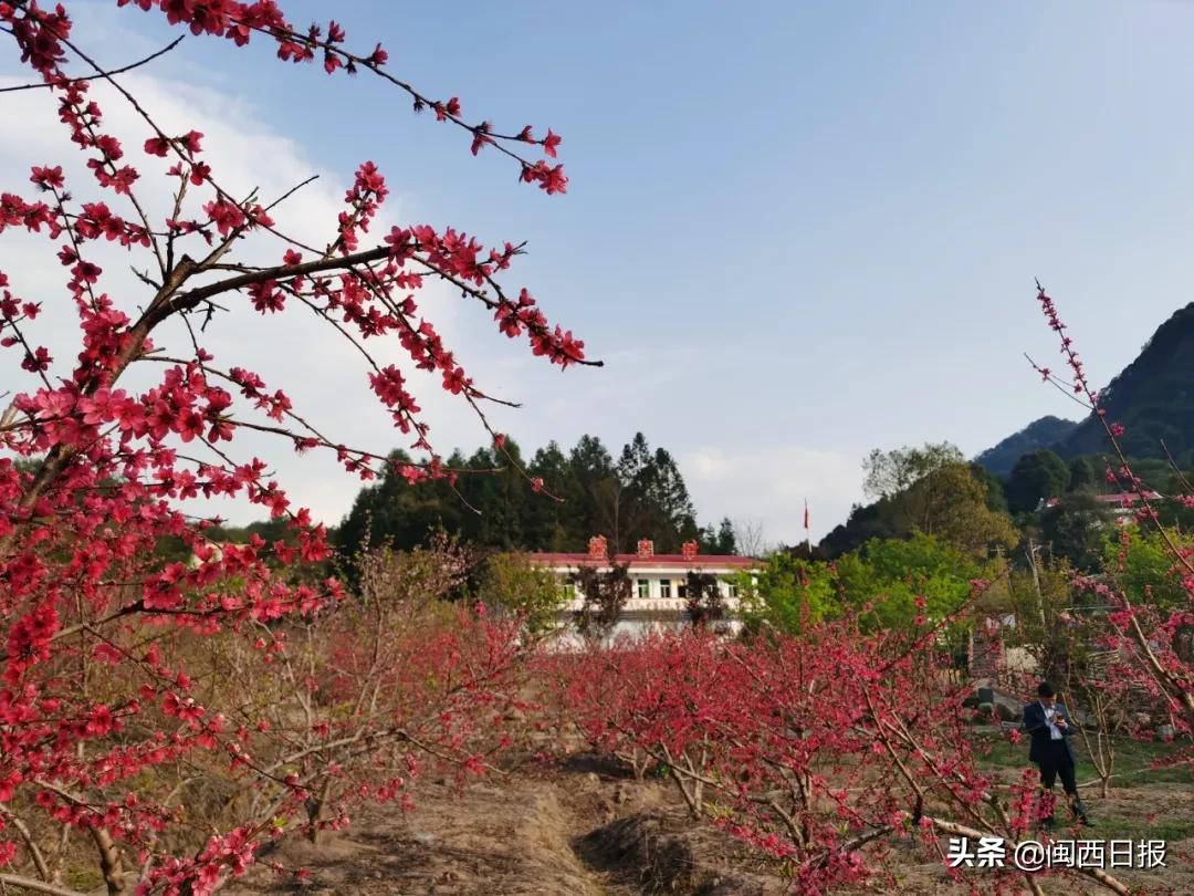 龙岩精准扶贫政策,龙岩连城脱贫攻坚