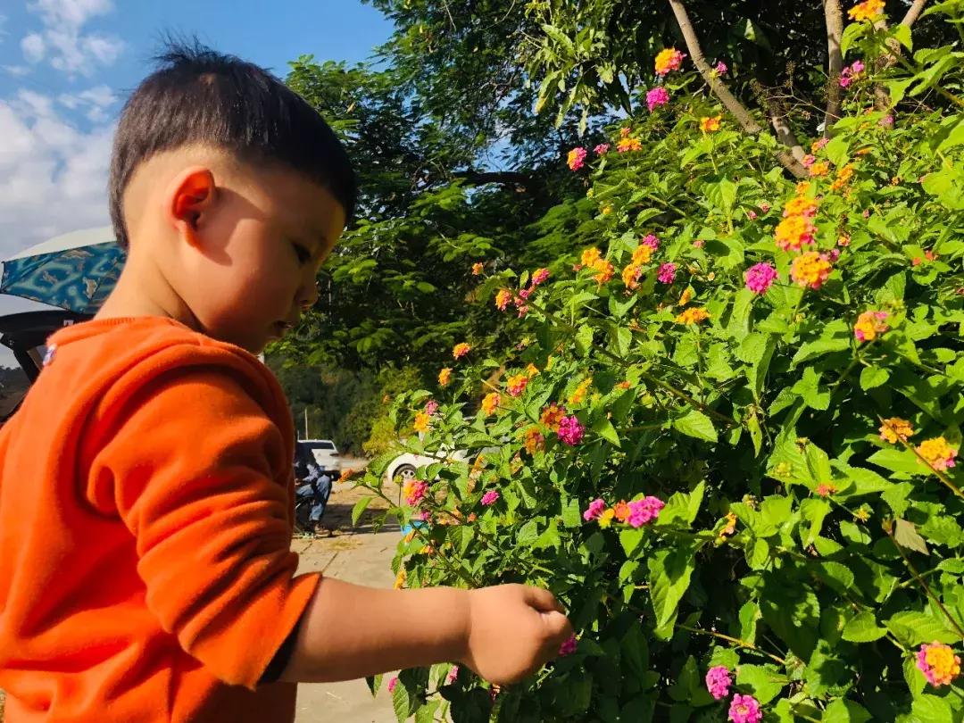 蜗旅旅行人生最新视频,蜗游记vlog