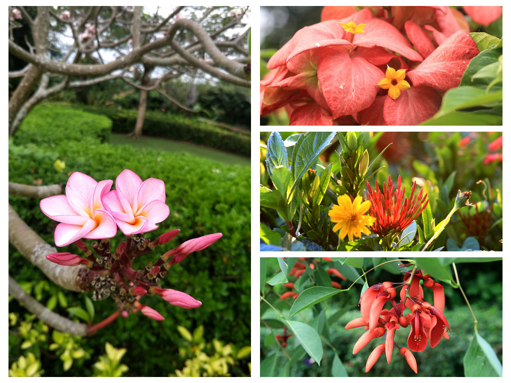 三亚亚龙湾风水,三亚风水最好的地方在哪里