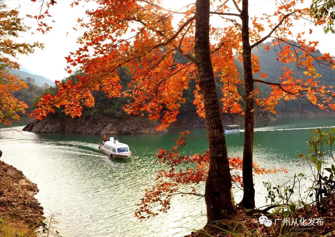 必打卡的宝藏公园,这些宝藏打卡地分分钟让人美到