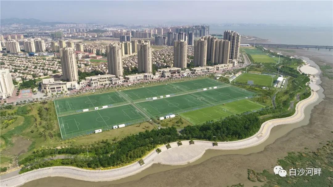 青岛市长杯小学足球赛赛程表,青岛第33届足球区长杯