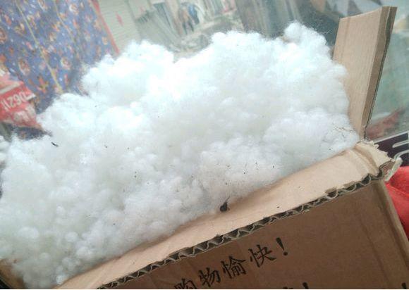 这3种多肉最适合新手,多肉扦插用什么方法最好