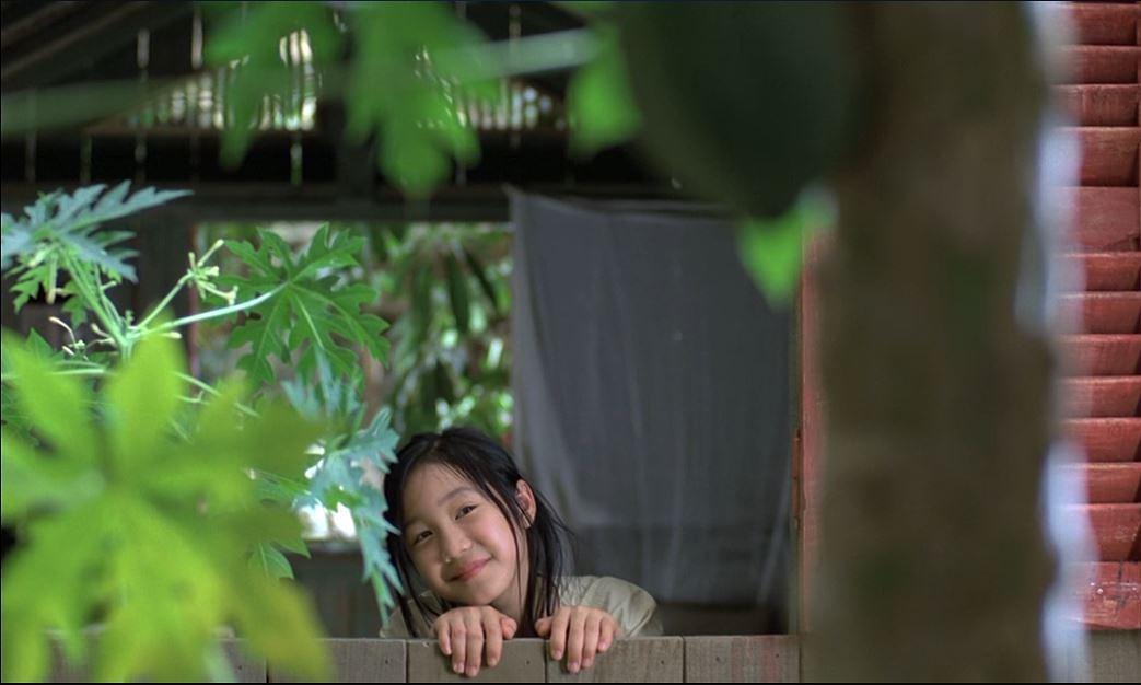 青木瓜之味视频,青木瓜之味超清