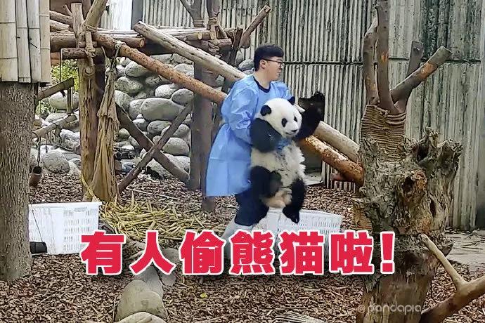 国宝带货直播,国宝直播带货