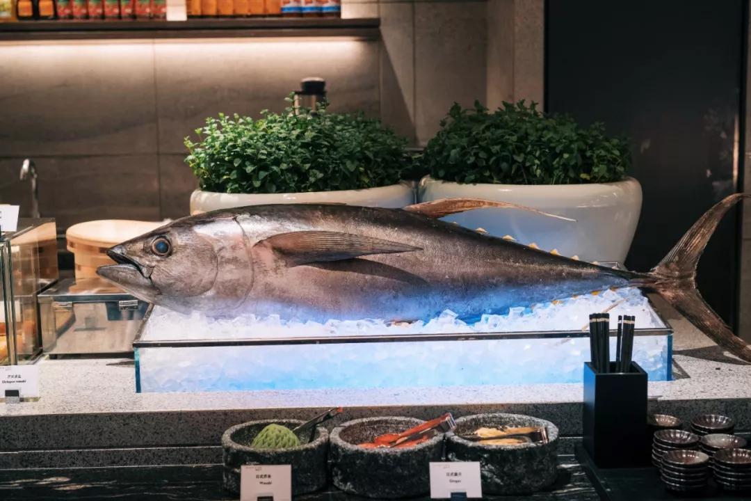 这家新开君悦性价比全国凯悦系酒店第一，没人质疑吧？