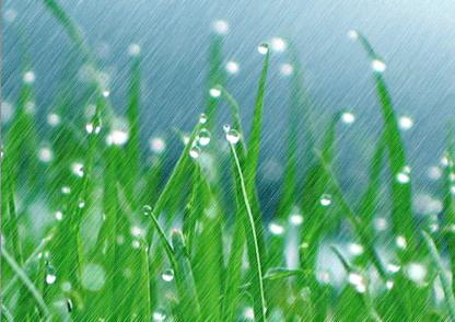 清明节英文介绍及翻译,清明时节英文