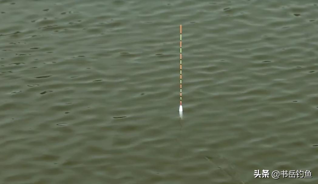 芦苇浮漂的优点和缺点,巴尔杉木浮漂的优点和缺点