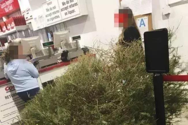 上午开业下午停业!令全球超市都恐惧的敌人竟被中国大妈抢空了