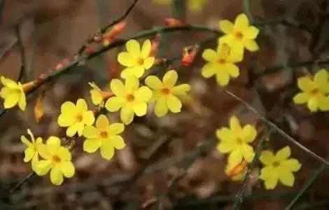 狂飙18级,狂飙18集公路飙车片段在哪