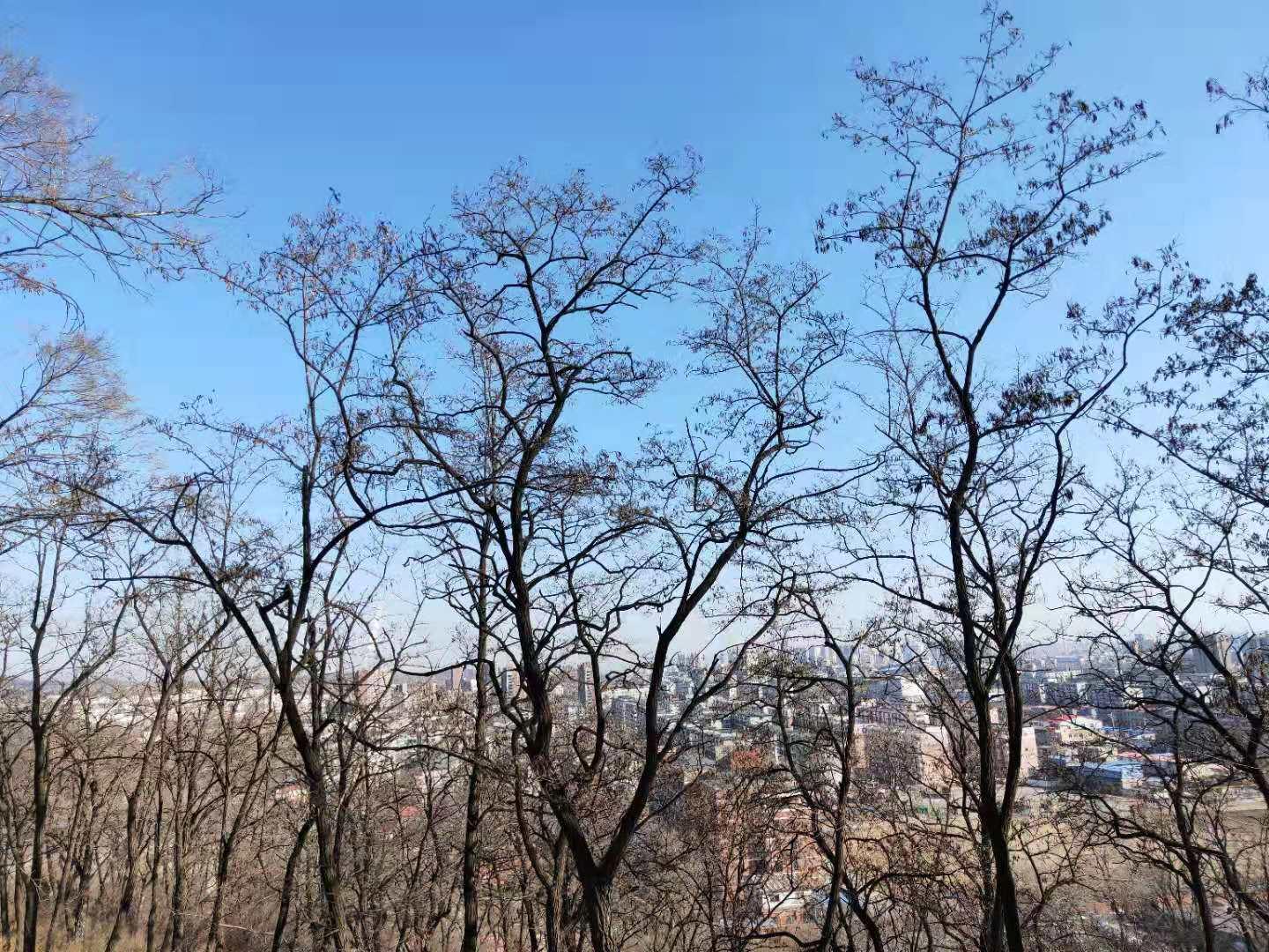 抚顺游记攻略,抚顺山峰游记