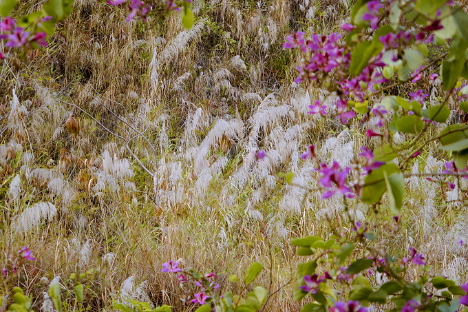 广州巴厘岛免费景点,广州温泉度假攻略