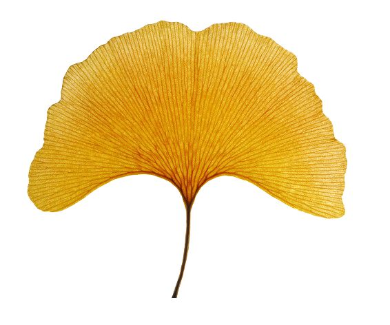 鲁大师上市公告日,鲁大师上市割韭菜