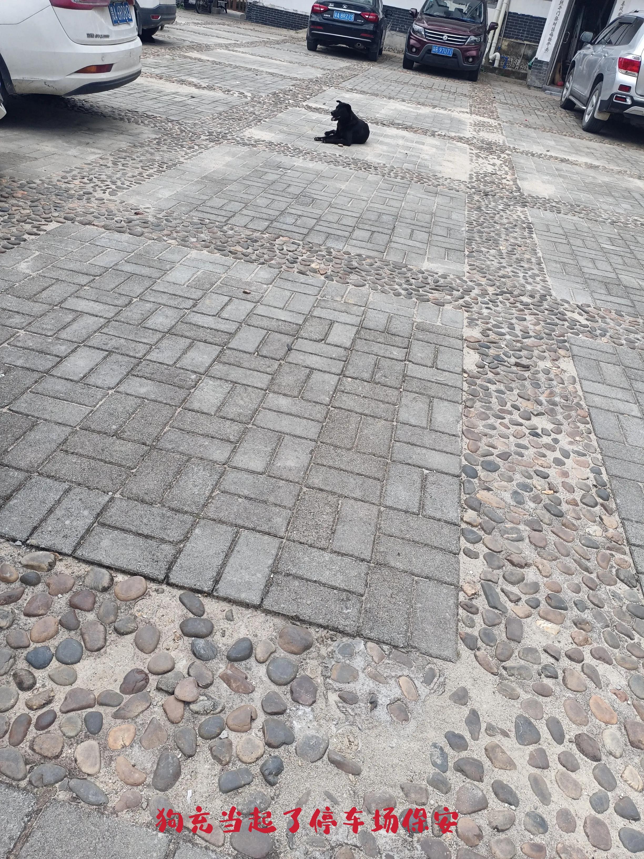 乘公交去乡下：广州海拔最高的村落-阿婆六村