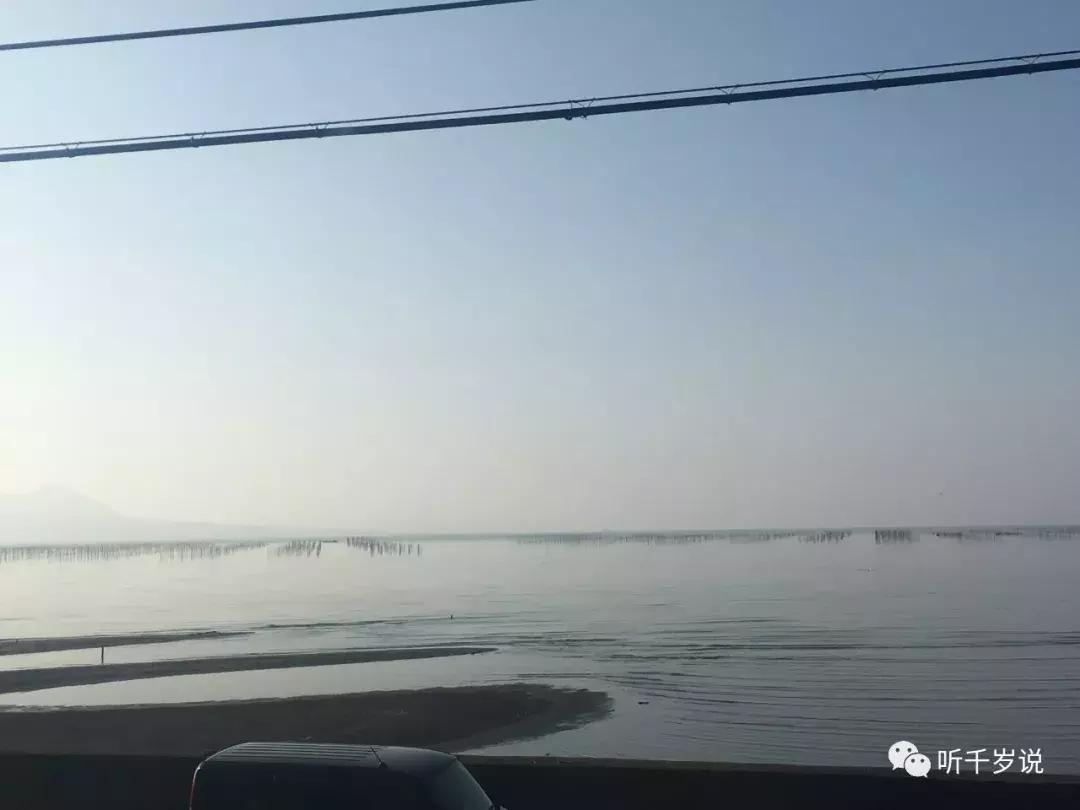 日本东京熊本熊,日本熊本游