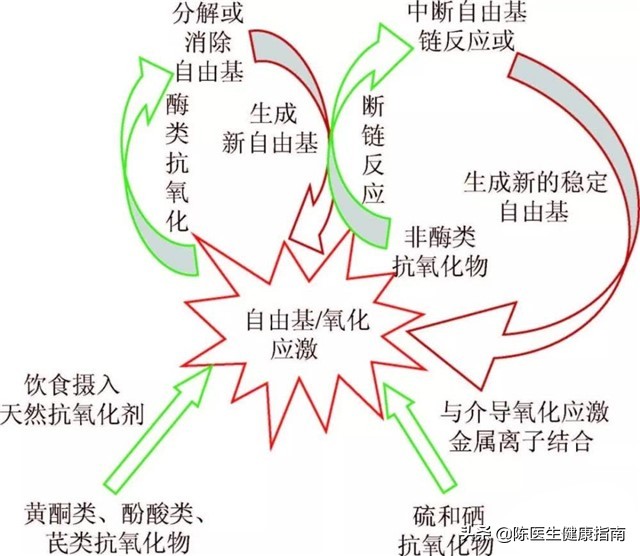 得了糖尿病后胃口越来越差怎么办,糖尿病胰岛功能会越来越差么