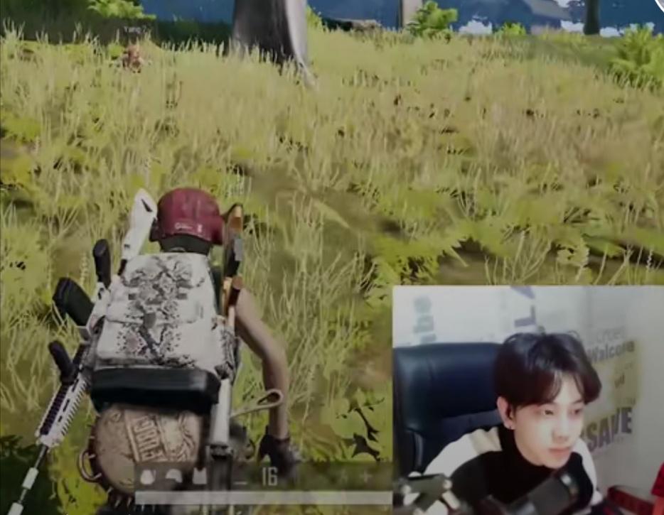 陈念航直播重播,陈念航乐兔互动