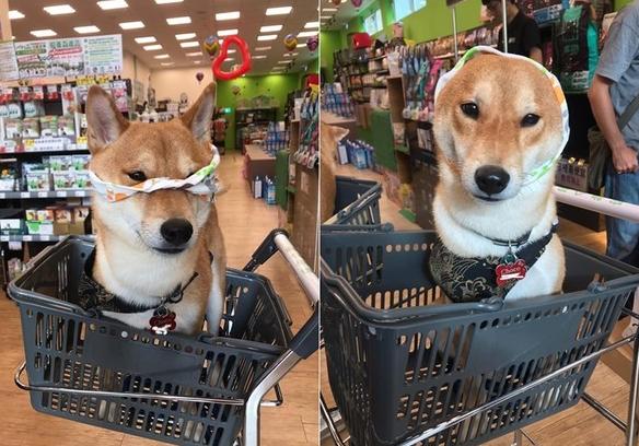 被挑衅最后忍无可忍后续,被挑衅到忍无可忍