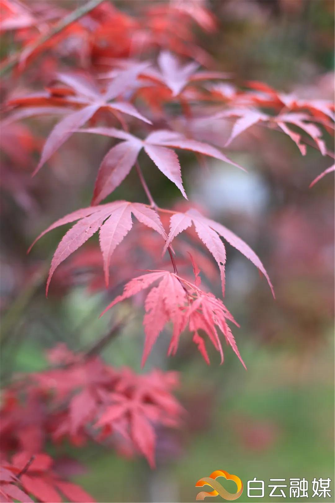 阳光正好来场户外,阳光正好去爬山