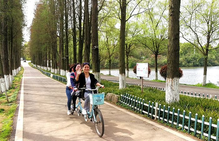 美丽的南湖公园夜景,南湖风景区真的太美了