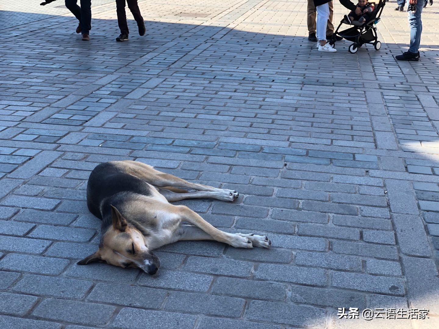 远走土耳其,我在星月之国上天入海(三)