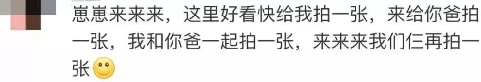 跟爸妈旅行真实感受,和爸妈旅游现象