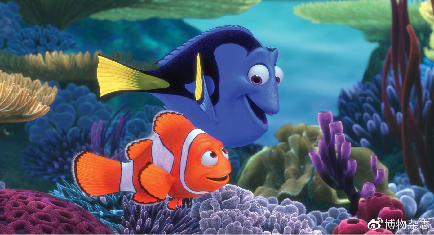 教你做生态鱼缸,教我做生态小鱼缸