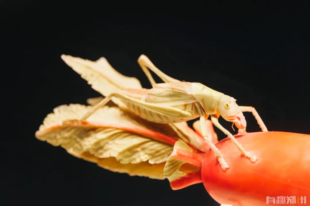 河南博物馆盲盒便宜和贵的区别,河南博物院盲盒开箱